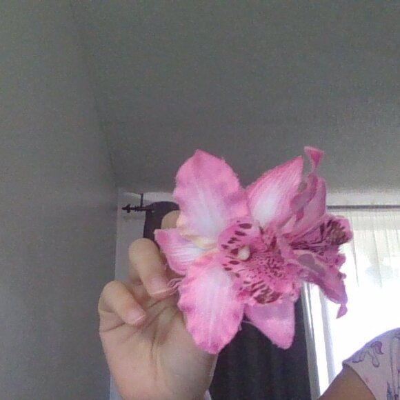 sofe - Picture 12 of 17